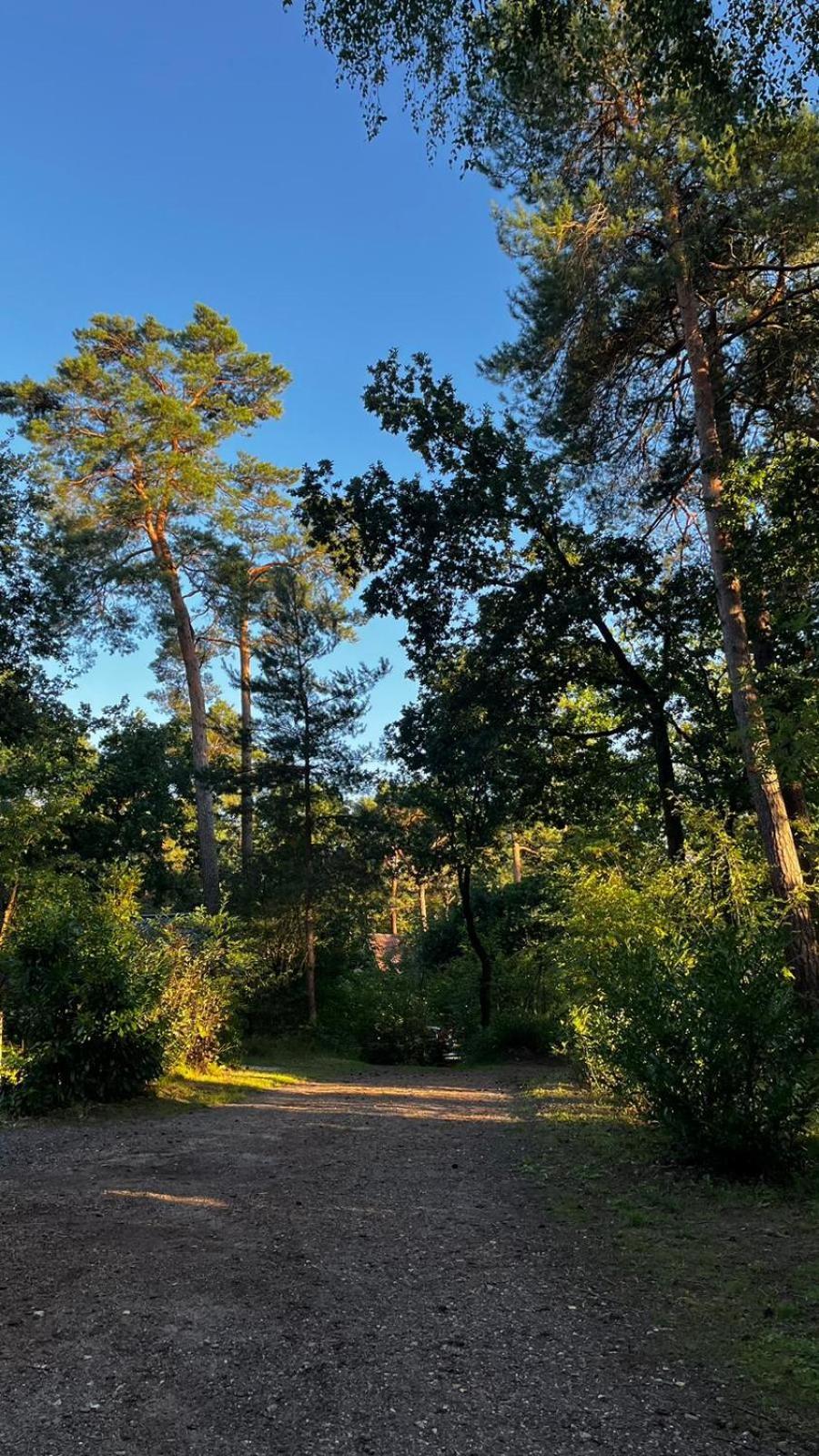 Vakantiehuis Vliegend Hert Veluwe Нюнспет Экстерьер фото
